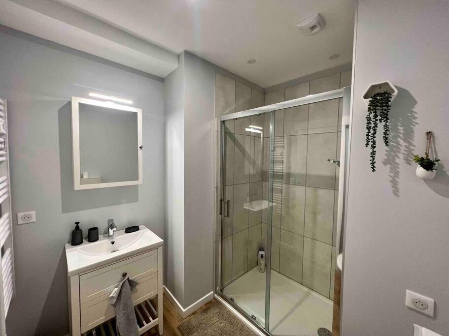 Appartement Climatise / Centre-Ville / 4 Personnes Besançon Kültér fotó